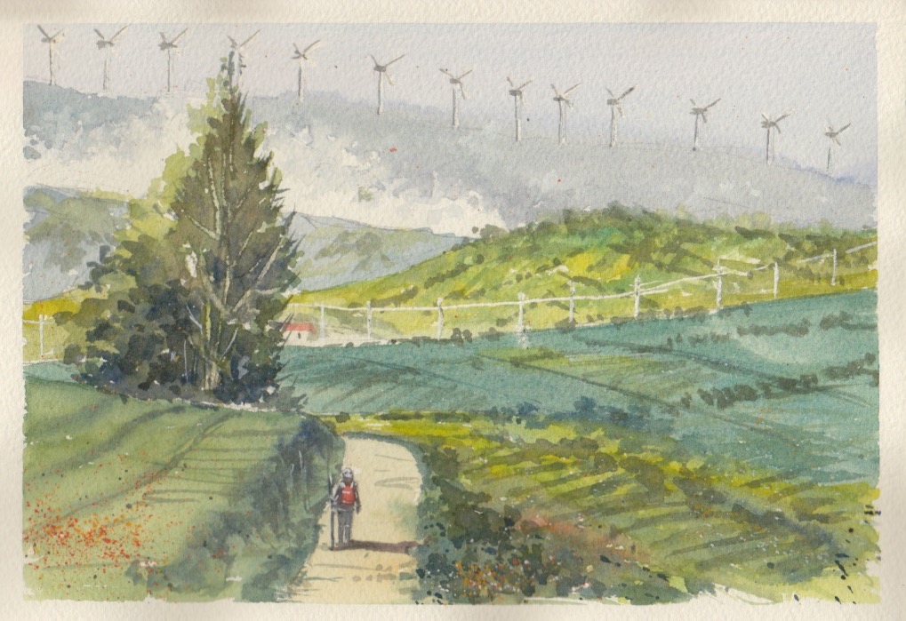 Camino del Alto del Perdon