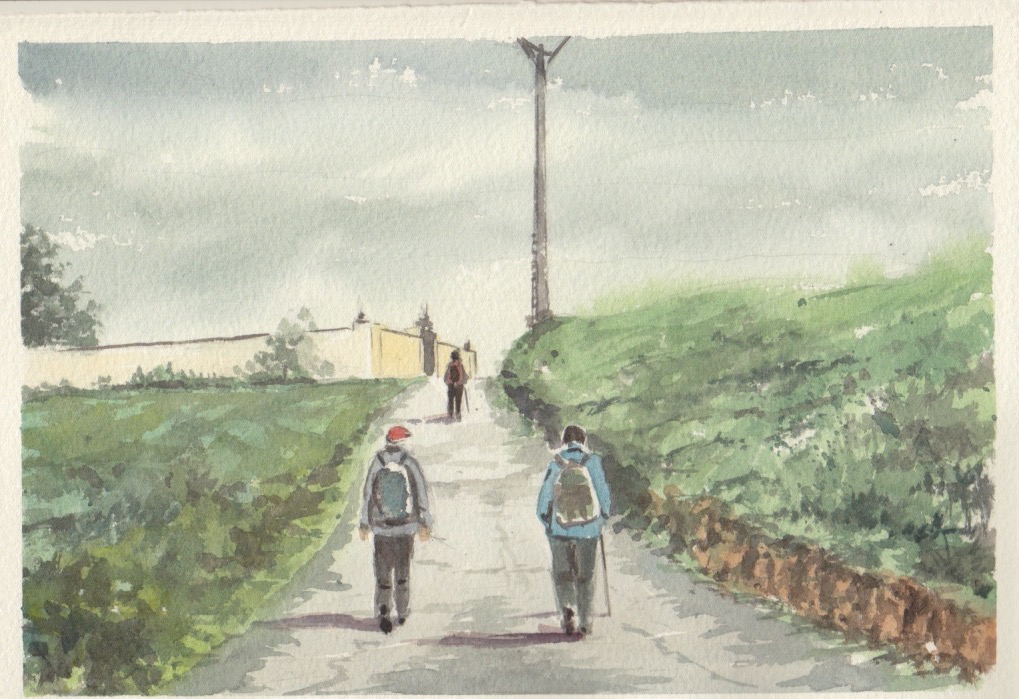 Camino a Cirauqui