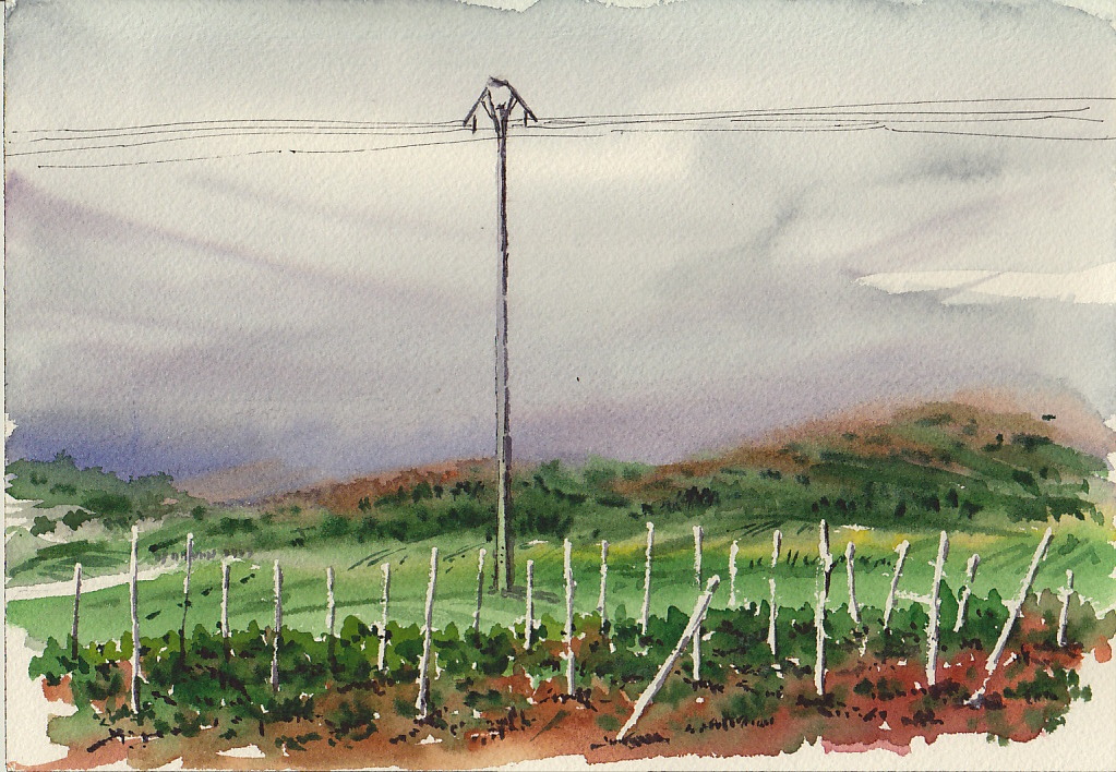 Camino a Azofra
