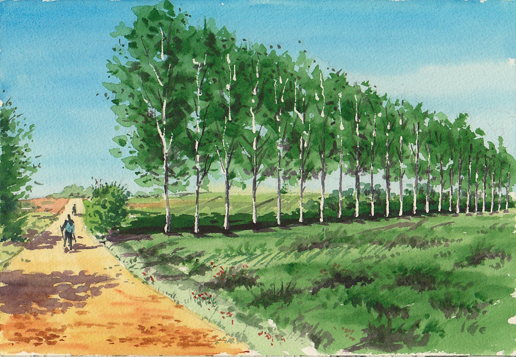 Calzadilla de la Cueza
