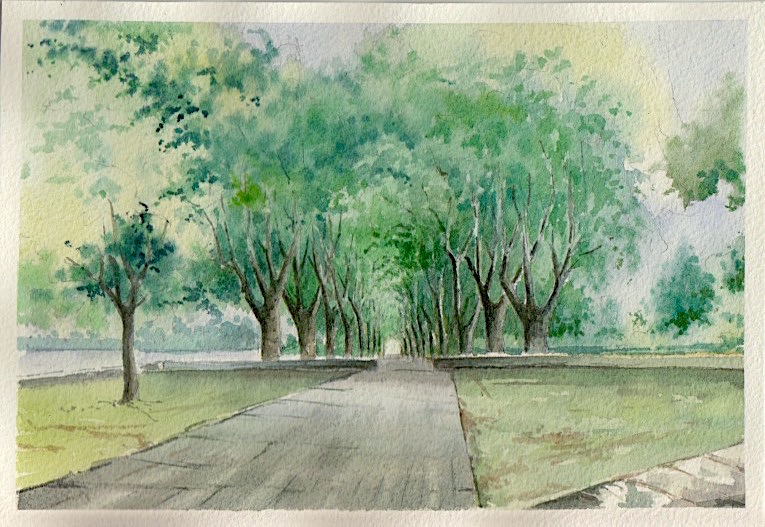 Ponte de Lima